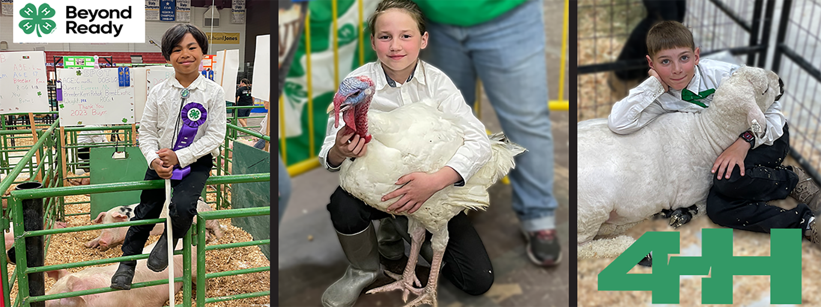 Children showing animals at state fair