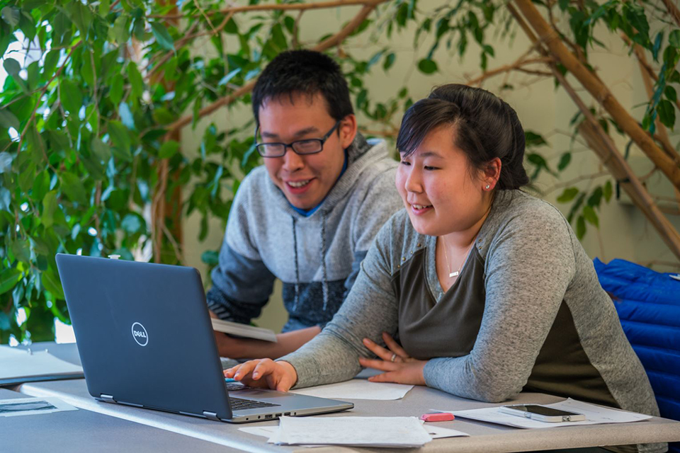 ANS Online students at a computer