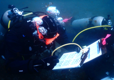 scuba diver with computer