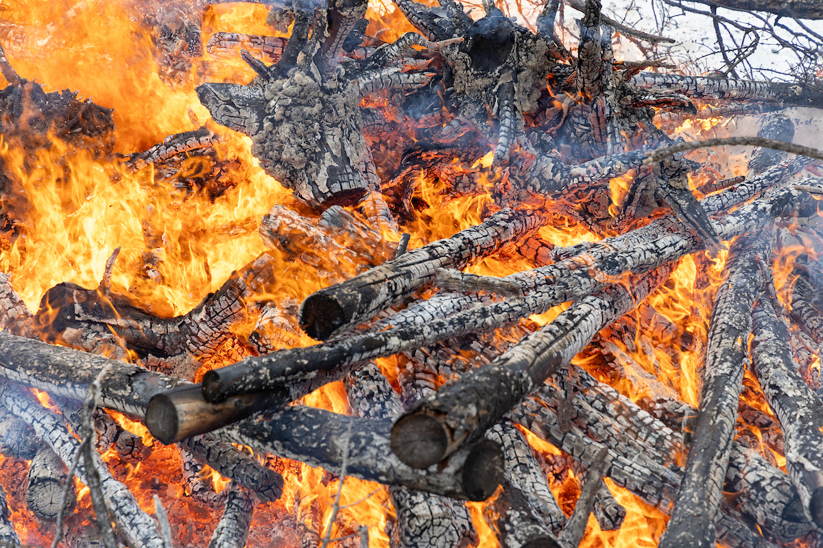 Closeup of controlled burn.
