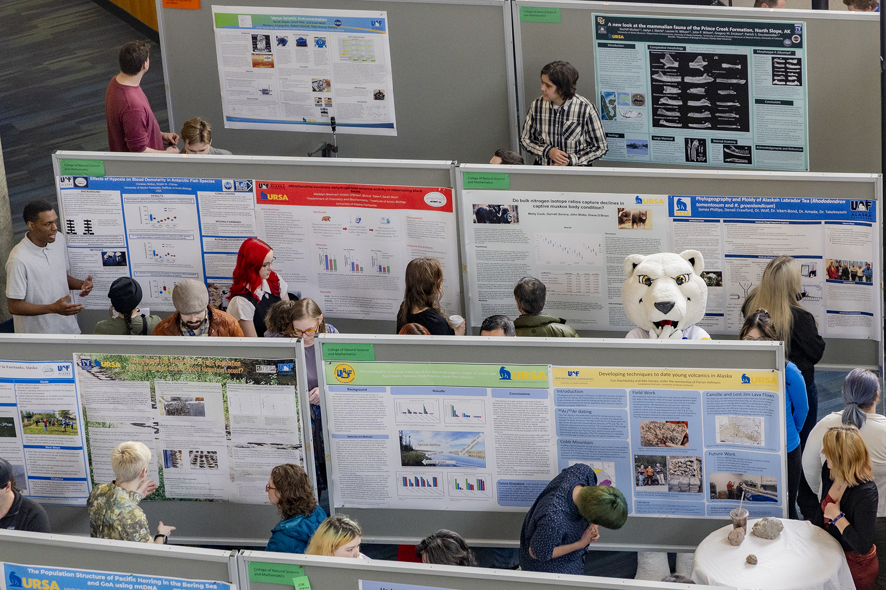 People visit RCA Day presentations.