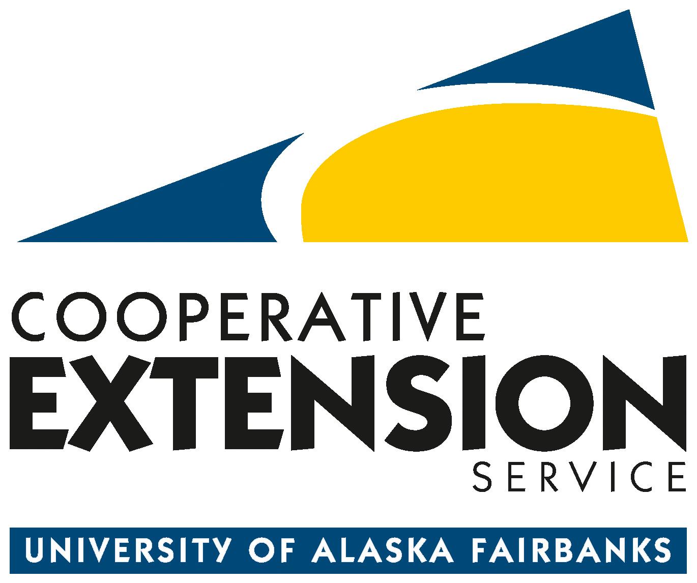 CES Logo